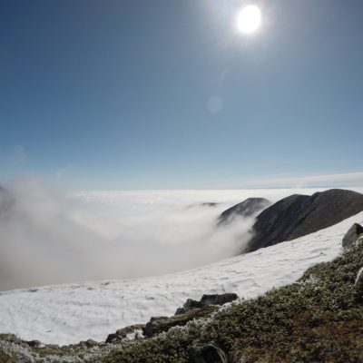 2019-06-15 09.31.51 (1)